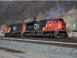 CN 8896
